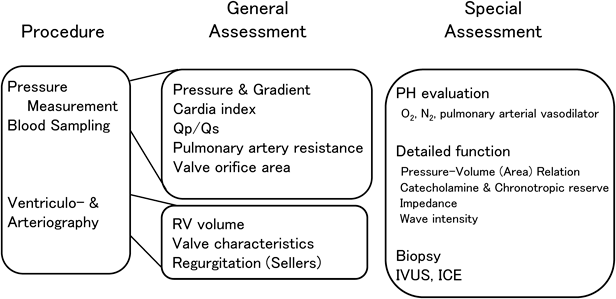 Journal of Pediatric Cardiology and Cardiac Surgery 7(1): 8-17 (2023)